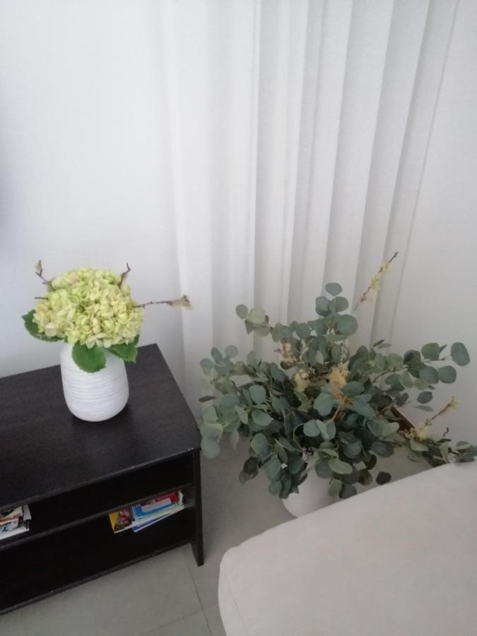 Shearwaters - Sounds Of The Sea Apartment Фуншал Екстериор снимка